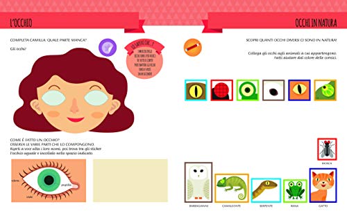 Montessori Scoperte - Il mio primo libro del corpo umano | Libro educativo per bambini | Con adesivi colorati | Edizione illustrata - immagine 7