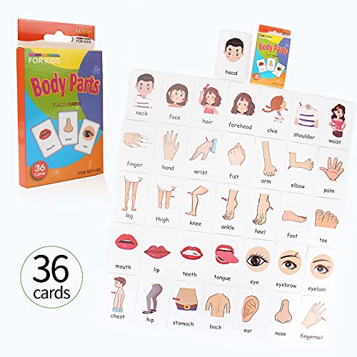 Set carte flash bambini per bambini per l'apprendimento precoce schede flash bambini età 2-4 biglietti bambini bambini 1 2 3 4 anni 4 Pack-144 pezzi animali frutta parti del corpo e colori - immagine 4