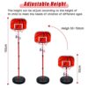 AolKee Canestro Basket Bambini e Supporto, portatile da 50 cm-150 cm Regolabile per interni ed esterno, Con 3 palle, rete, pompa - immagine 3