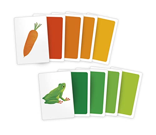 Clementoni Montessori-Carte Colori Gioco Educativo Montessori Bambini 2-6Anni 90Flashcards per Imparare i Colori e le Loro Gradazioni Attività Divertenti e Formative Made in Italy Lingua Italiana16333 - immagine 5