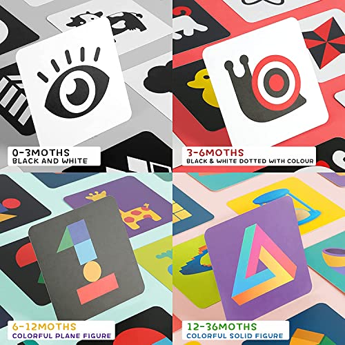 Richgv Bianco e Nero Carta Flash per Neonato Sviluppo Sensoriale Visivo. Alto Contrasto Educativi Carte Giochi Montessori (Cognizione di Colore, Forma, Numeri).0 3 6 12 36 Mesi. 4 Set 160 Pagine - immagine 3