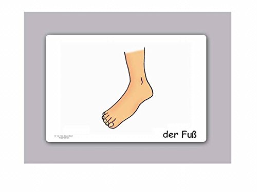 Carte illustrate educativi Parte del Corpo - Flashcard Lingua Tedesco - Bildkarten Körper/Körperteile - Size 4.13 × 5.83 inch = DIN A6 (105 x 148 mm) - immagine 3