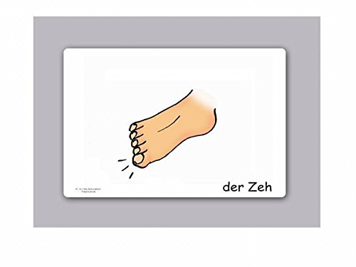 Carte illustrate educativi Parte del Corpo - Flashcard Lingua Tedesco - Bildkarten Körper/Körperteile - Size 4.13 × 5.83 inch = DIN A6 (105 x 148 mm) - immagine 6