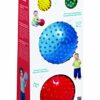 Edushape - Ed 705 179 - Gioco della Palla - Palle sensoriali - Random Modello di 4 - immagine 2