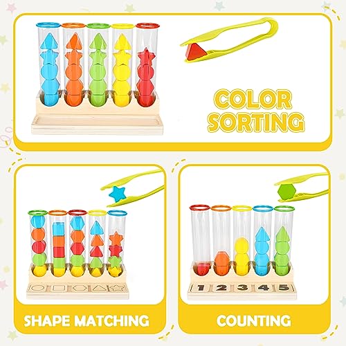 Joyreal Giochi Montessori 3 4 Anni Gioco Educativi Conteggio Corrispondenza dei Colori Abbinamento Regalo Ragazzi Ragazze 3 4 5 Anni - immagine 3