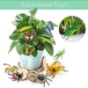 LATERN 45 Pezzi Corredi di Figure Dell'insetto di Plastica, 35pcs Realistici Insetti Bug Insetto Figure Giocattolo per L'educazione dei Bambini, Favori di Tema A Tema Insetti - immagine 8