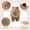 Tizund 2PCS Simulazione Simulazione Animale Capybara Peluche, Bambole di Peluche Animali Carini per Curare il Vostro Umore, Decorazione Domestica Simpatica Imitazione Peluche per Bambini - immagine 5