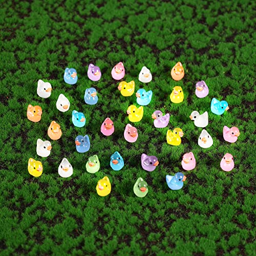 LUTER 100 Pezzi Mini Anatre Luminose in Resina, Piccole Anatre Figure in Miniatura per Acquario Giardino Paesaggio Casa delle Bambole Ornamento Decorazioni in Vaso Fai da Te (Multicolore) - immagine 4