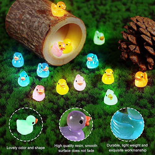 LUTER 100 Pezzi Mini Anatre Luminose in Resina, Piccole Anatre Figure in Miniatura per Acquario Giardino Paesaggio Casa delle Bambole Ornamento Decorazioni in Vaso Fai da Te (Multicolore) - immagine 5
