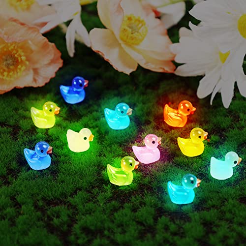 LUTER 100 Pezzi Mini Anatre Luminose in Resina, Piccole Anatre Figure in Miniatura per Acquario Giardino Paesaggio Casa delle Bambole Ornamento Decorazioni in Vaso Fai da Te (Multicolore) - immagine 6