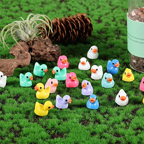 LUTER 100 Pezzi Mini Anatre in Resina, Piccole Anatre Figure in Miniatura per Acquario Giardino Paesaggio Casa delle Bambole Ornamento Decorazioni in Vaso Fai da Te (Multicolore) - immagine 6