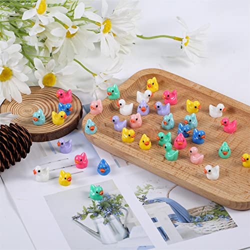 LUTER 100 Pezzi Mini Anatre in Resina, Piccole Anatre Figure in Miniatura per Acquario Giardino Paesaggio Casa delle Bambole Ornamento Decorazioni in Vaso Fai da Te (Multicolore) - immagine 7