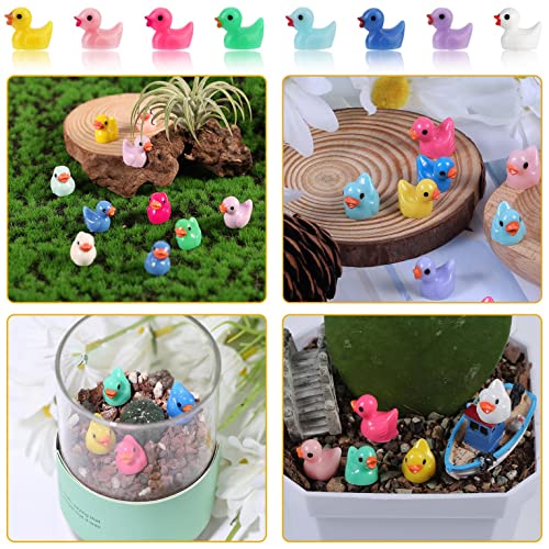 LUTER 100 Pezzi Mini Anatre in Resina, Piccole Anatre Figure in Miniatura per Acquario Giardino Paesaggio Casa delle Bambole Ornamento Decorazioni in Vaso Fai da Te (Multicolore) - immagine 8