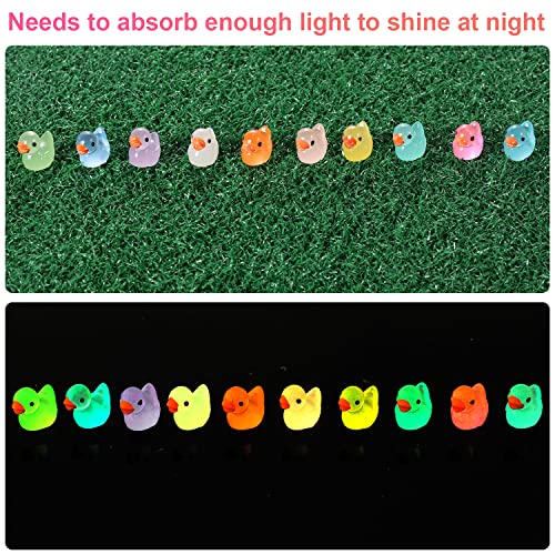 LUTER 100 Pezzi Mini Luminose Anatre in Resina, Piccole Anatre in Resina in Miniatura per Acquario Giardino Paesaggio Casa delle Bambole Ornamento Decorazioni in Vaso Fai da Te (Multicolore) - immagine 4