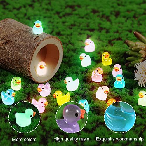 LUTER 100 Pezzi Mini Luminose Anatre in Resina, Piccole Anatre in Resina in Miniatura per Acquario Giardino Paesaggio Casa delle Bambole Ornamento Decorazioni in Vaso Fai da Te (Multicolore) - immagine 5