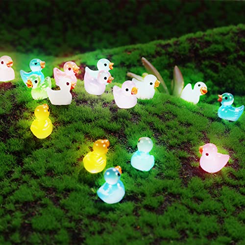 LUTER 100 Pezzi Mini Luminose Anatre in Resina, Piccole Anatre in Resina in Miniatura per Acquario Giardino Paesaggio Casa delle Bambole Ornamento Decorazioni in Vaso Fai da Te (Multicolore) - immagine 7