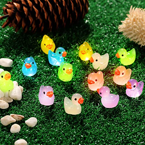 LUTER 120 Pezzi Mini Anatre Luminose in Resina, Piccole Anatre Figure in Miniatura per Acquario Giardino Paesaggio Casa delle Bambole Ornamento Decorazioni in Vaso Fai da Te (6 Colori, 6 Stili) - immagine 4