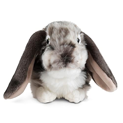 Living Nature Conigli dalle orecchie olandesi Lop – Giochi e Prodotti per  l'Età Evolutiva