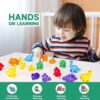 Venditer Giochi Montessori 2 3 4 5 Anni, Dinosauro Giocattolo per Bambini Giochi Educativi, Giocattoli Dinosauri, Il Colore e la classificazione, Giocattoli Educativi Regalo Compleanno per Bambini - immagine 5