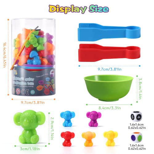 Oderra Giochi, Montessori Educativo, conteggio Combinazione, Dadi e Clip per Imparare a Contare i Colori Abilità Motorie Fine (Koala), Gioco Bambino 2 Anni - immagine 3