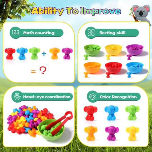 Oderra Giochi, Montessori Educativo, conteggio Combinazione, Dadi e Clip per Imparare a Contare i Colori Abilità Motorie Fine (Koala), Gioco Bambino 2 Anni - immagine 4