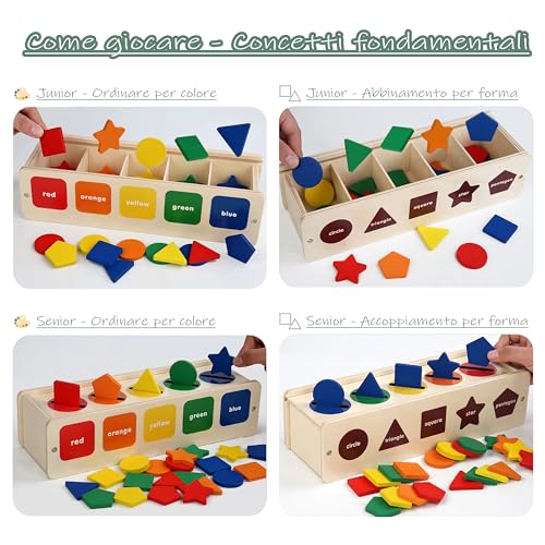 NapSoul Gioco di apprendimento Montessori per Bambini per ordinare Forme e Colori, Scatola di ordinamento con 39 Pezzi Colorati, Regalo di Compleanno per Bambini di 1, 2 e 3 Anni - immagine 3