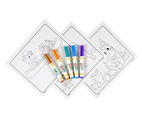 CRAYOLA Color Wonder - Libro da colorare blu senza disordine (include 18 pagine da colorare e 5 pennarelli Magic Color Wonder) - immagine 4
