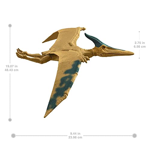 Jurassic World, Pteranodon, Statuetta da 12", Giocattolo per bambini dai 3 anni in poi con Dettagli reali e realistici - immagine 3