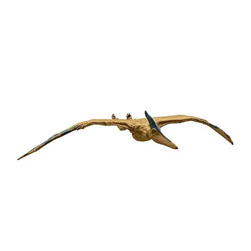 Jurassic World, Pteranodon, Statuetta da 12", Giocattolo per bambini dai 3 anni in poi con Dettagli reali e realistici - immagine 4