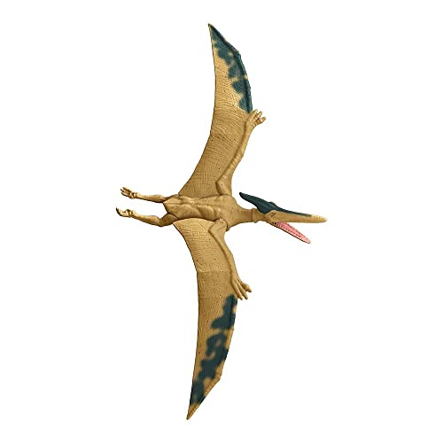 Jurassic World, Pteranodon, Statuetta da 12", Giocattolo per bambini dai 3 anni in poi con Dettagli reali e realistici - immagine 5