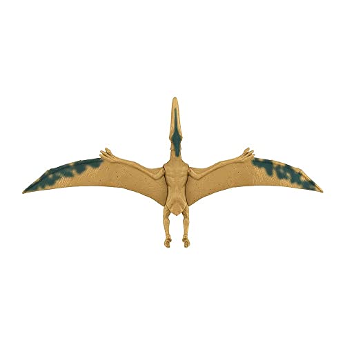 Jurassic World, Pteranodon, Statuetta da 12", Giocattolo per bambini dai 3 anni in poi con Dettagli reali e realistici - immagine 6