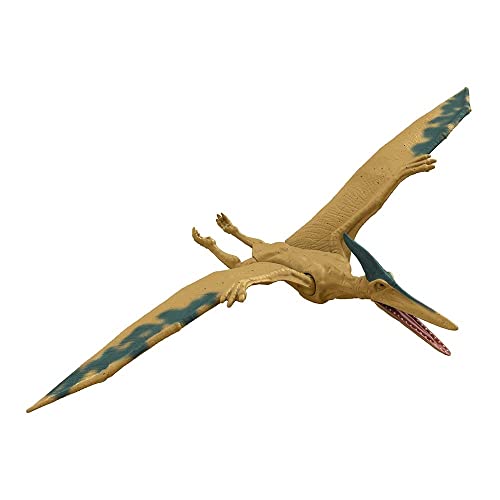 Jurassic World, Pteranodon, Statuetta da 12", Giocattolo per bambini dai 3 anni in poi con Dettagli reali e realistici - immagine 7