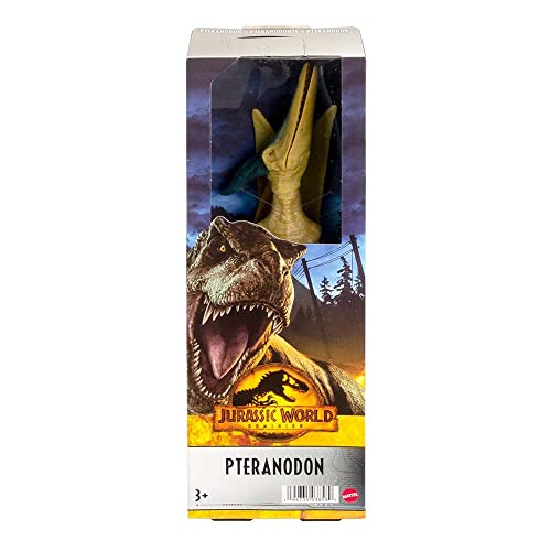 Jurassic World, Pteranodon, Statuetta da 12", Giocattolo per bambini dai 3 anni in poi con Dettagli reali e realistici - immagine 8