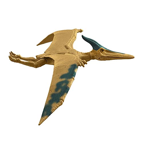 Jurassic World, Pteranodon, Statuetta da 12", Giocattolo per bambini dai 3 anni in poi con Dettagli reali e realistici