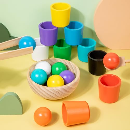 Auvewilo Palle in Tazze Giocattolo Montessori, Classificazione di Colore e Forma per l'educazione dei Bambini, Esercizio di motricità fine - immagine 5