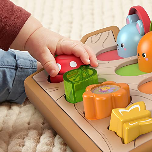 Jurassic World Fisher-Price cucù Amici Animaletti con Dettagli in Legno e Tessuto, Giocattolo per Bambini 9+ Mesi, GJW24 - immagine 3