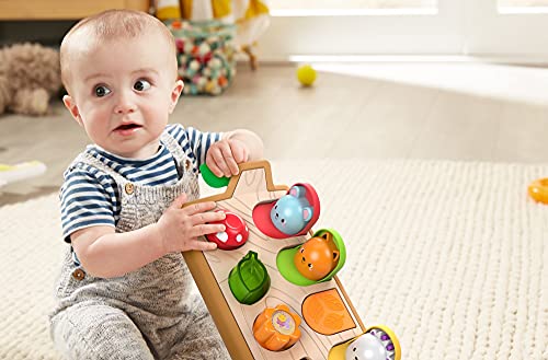 Jurassic World Fisher-Price cucù Amici Animaletti con Dettagli in Legno e Tessuto, Giocattolo per Bambini 9+ Mesi, GJW24 - immagine 5
