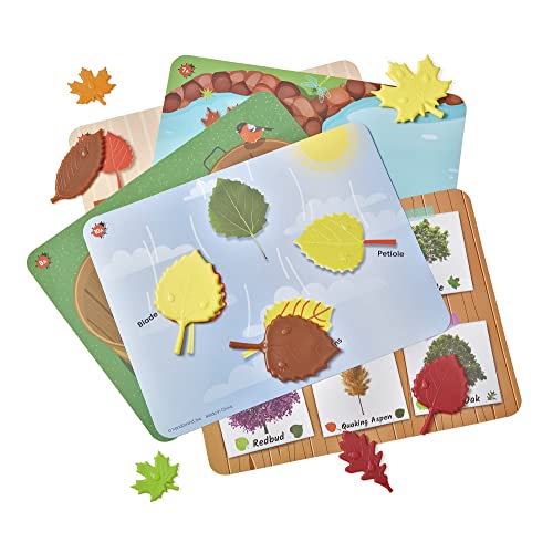 Learning Resources Set di Attività Matematiche Foglie Sensoriali, Gioco con i motivi, Puzzle di forme, Schede con blocchi e motivi, Ordinamento, Contare & Attività prescolari, 3+, Multicolor, 94460 - immagine 5