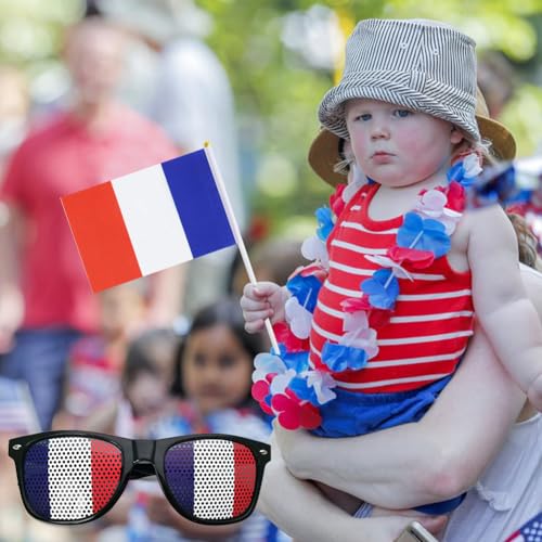 Occhiali Tricolore Francesi,Occhiali Blu Bianco E Rosso,Occhiali Francesi Supporter,Occhiali Blu Di Plastica, Bianchi E Rossi,Accessori Tricolore Francesi Supporter,con 2 Bandiere Francesi,1 Pezzo - immagine 7