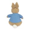 NANQUAN GUND Beatrix Potter Peter Rabbit Knit Plush, Stuffed Animal for Ages 1 And Up, Brown/Blue, 6.5” - immagine 6