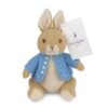 NANQUAN GUND Beatrix Potter Peter Rabbit Knit Plush, Stuffed Animal for Ages 1 And Up, Brown/Blue, 6.5” - immagine 7