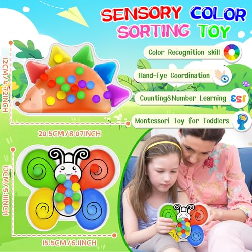 Pipihome Giocattoli per Bambini con Ordinamento dei Colori,Giocattolo per L'Ordinamento dei Colori Riccio Fidget,Gioco di Ordinamento dei Colori per L'Apprendimento Prescolare - immagine 3