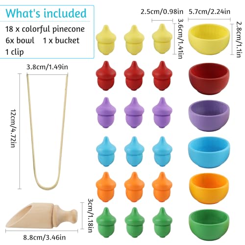 dellyy Giochi Montessori, 26 PCS Ghiande di Colori Diversi, Giochi per Smistamento in Legno, Motricità Fine Giocattoli Educativi Regalo per Bambini Giochi Montessori da 2 3 4 5 Anni - immagine 3