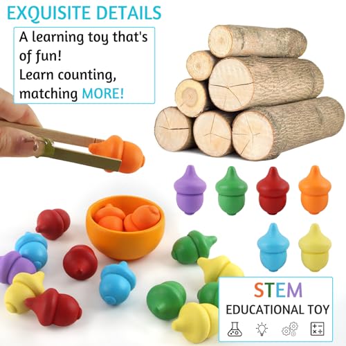 dellyy Giochi Montessori, 26 PCS Ghiande di Colori Diversi, Giochi per Smistamento in Legno, Motricità Fine Giocattoli Educativi Regalo per Bambini Giochi Montessori da 2 3 4 5 Anni - immagine 4