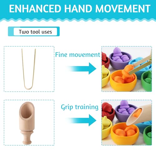 dellyy Giochi Montessori, 26 PCS Ghiande di Colori Diversi, Giochi per Smistamento in Legno, Motricità Fine Giocattoli Educativi Regalo per Bambini Giochi Montessori da 2 3 4 5 Anni - immagine 5