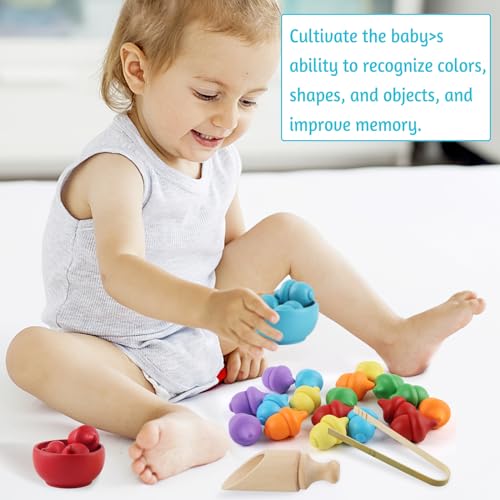 dellyy Giochi Montessori, 26 PCS Ghiande di Colori Diversi, Giochi per Smistamento in Legno, Motricità Fine Giocattoli Educativi Regalo per Bambini Giochi Montessori da 2 3 4 5 Anni - immagine 6