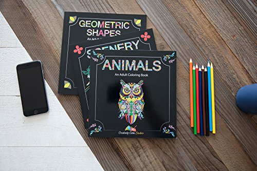 Set di libri da colorare per adulti, 3 libri da colorare per adulti, 120 disegni unici di animali, paesaggi e mandala. Libri da colorare per adulti Relax. - immagine 3