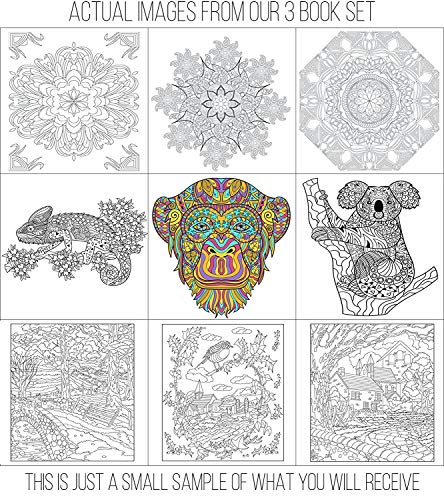 Set di libri da colorare per adulti, 3 libri da colorare per adulti, 120 disegni unici di animali, paesaggi e mandala. Libri da colorare per adulti Relax. - immagine 5