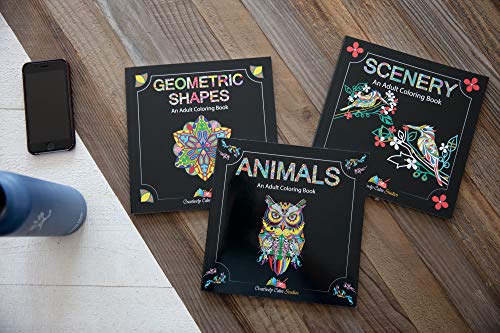 Set di libri da colorare per adulti, 3 libri da colorare per adulti, 120 disegni unici di animali, paesaggi e mandala. Libri da colorare per adulti Relax. - immagine 6