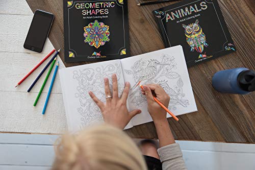 Set di libri da colorare per adulti, 3 libri da colorare per adulti, 120 disegni unici di animali, paesaggi e mandala. Libri da colorare per adulti Relax. - immagine 8